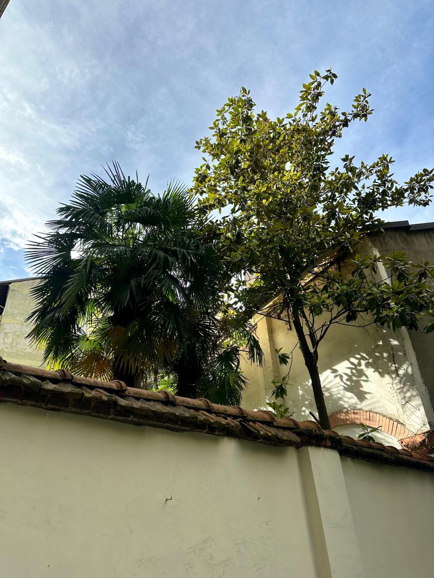 Lr Deluxe Apartments - Porta Venezia - Bilocale Con Giardino Privato Milão Exterior foto